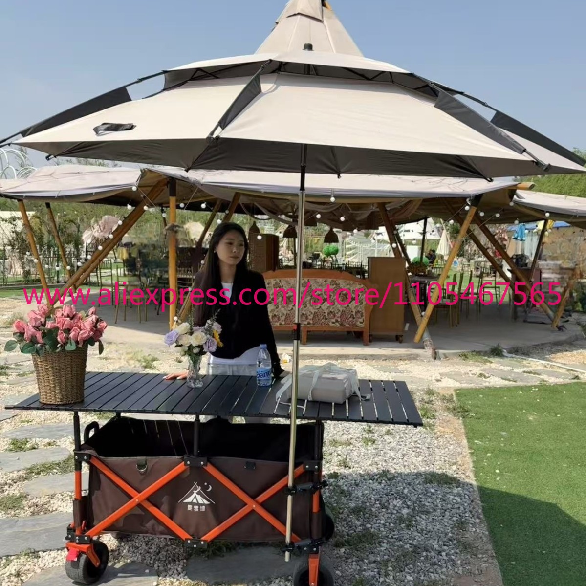 1 pièce, grand chariot pliable - Outdoor Camping Trolley avis et prix