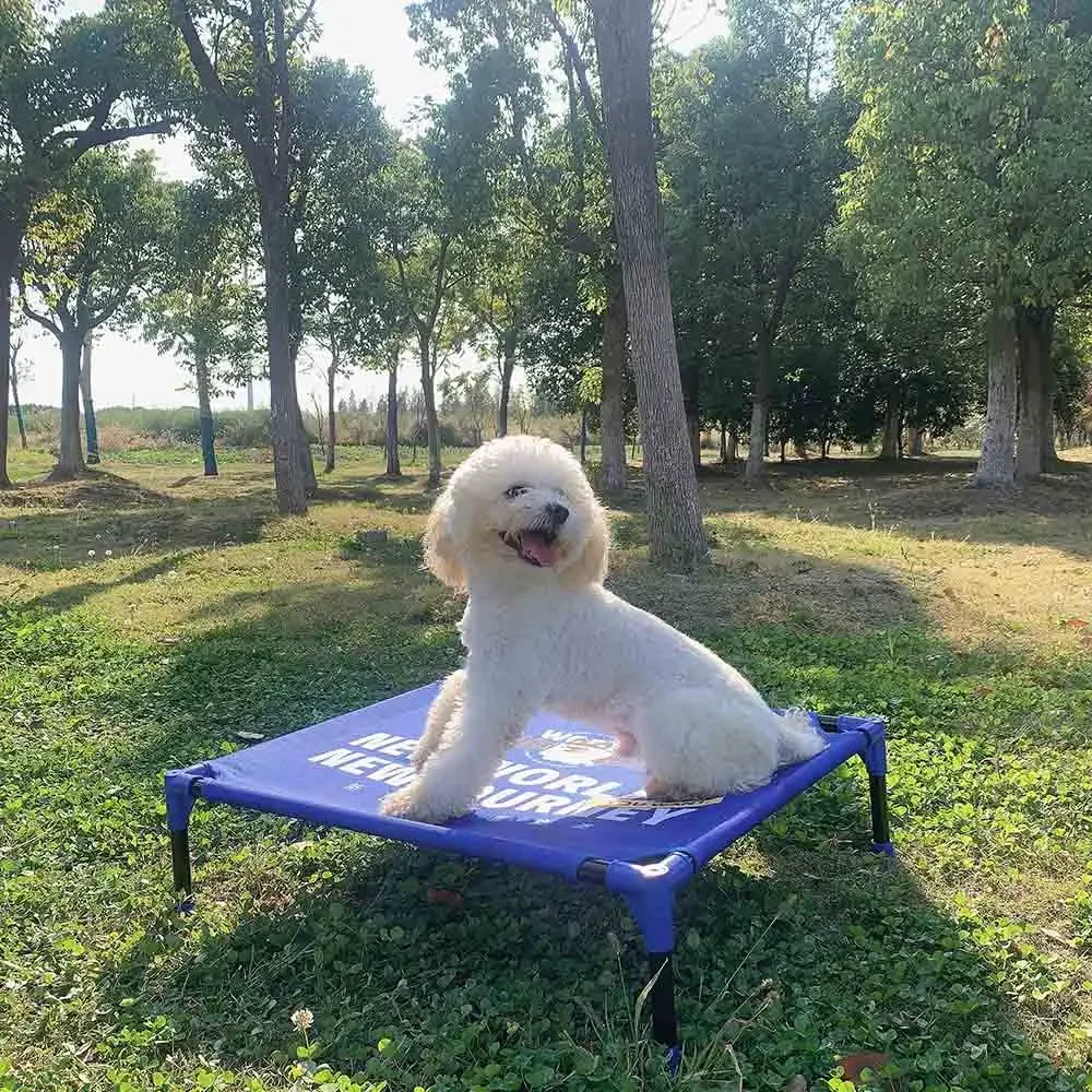 Lit de chien surélevé portable - Outdoor Camping Dog Bed avis et prix