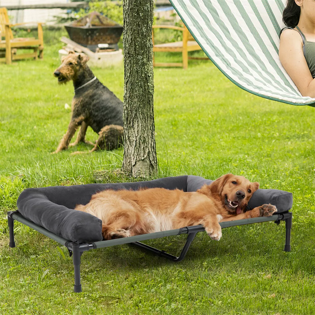 BINGOPAW Lit de chien d'extéri - Outdoor Camping Dog Bed avis et prix