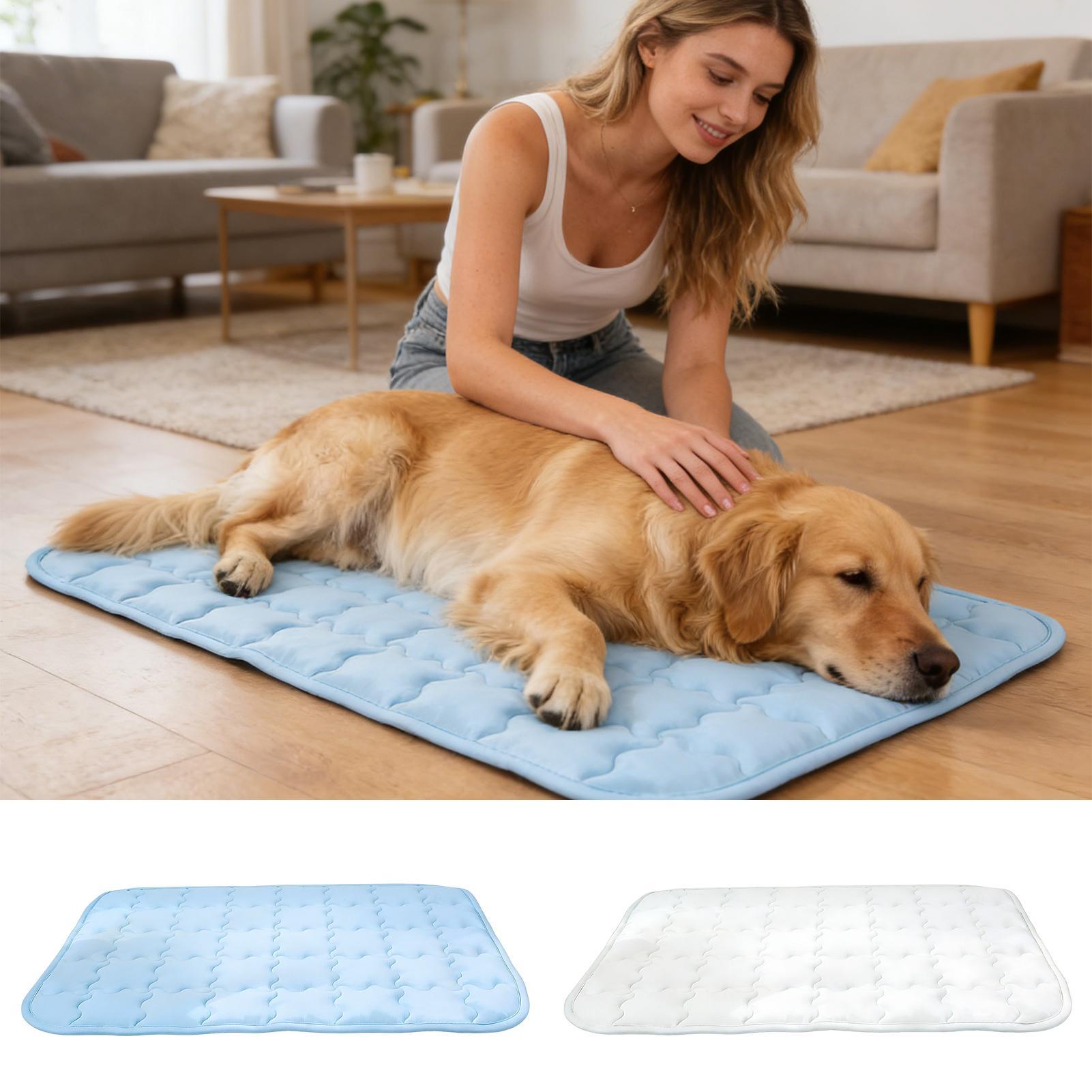 Coussin rafraîchissant pour ch - Outdoor Camping Dog Bed avis et prix